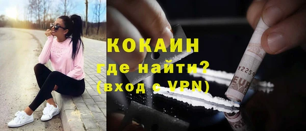 кокс Алексин
