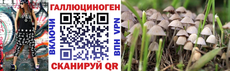 Галлюциногенные грибы Cubensis  Волгодонск 